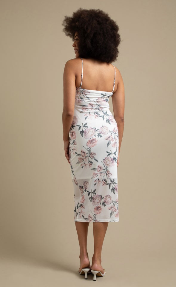 Printed Mesh Midi Dress Cream/blush Floral