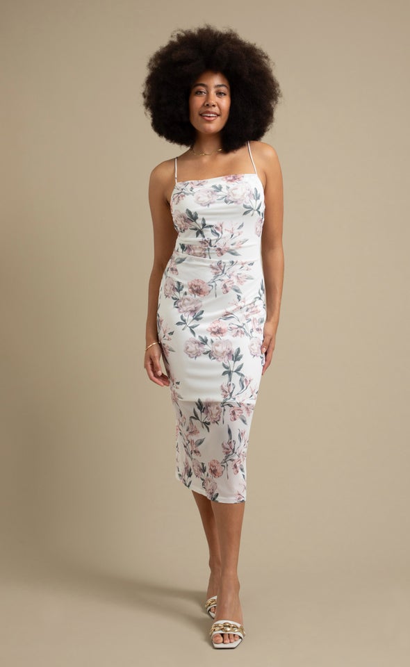 Printed Mesh Midi Dress Cream/blush Floral