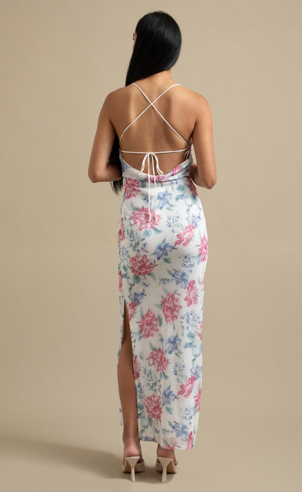 Printed Mesh Open Back Gown Cream/floral