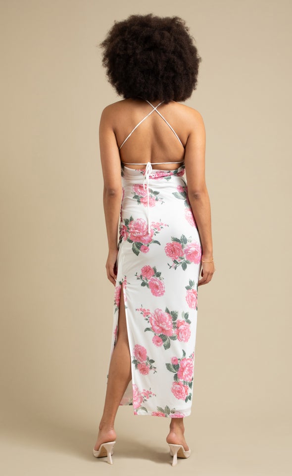 Printed Mesh Open Back Gown Cream/pink Floral