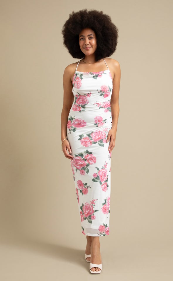 Printed Mesh Open Back Gown Cream/pink Floral